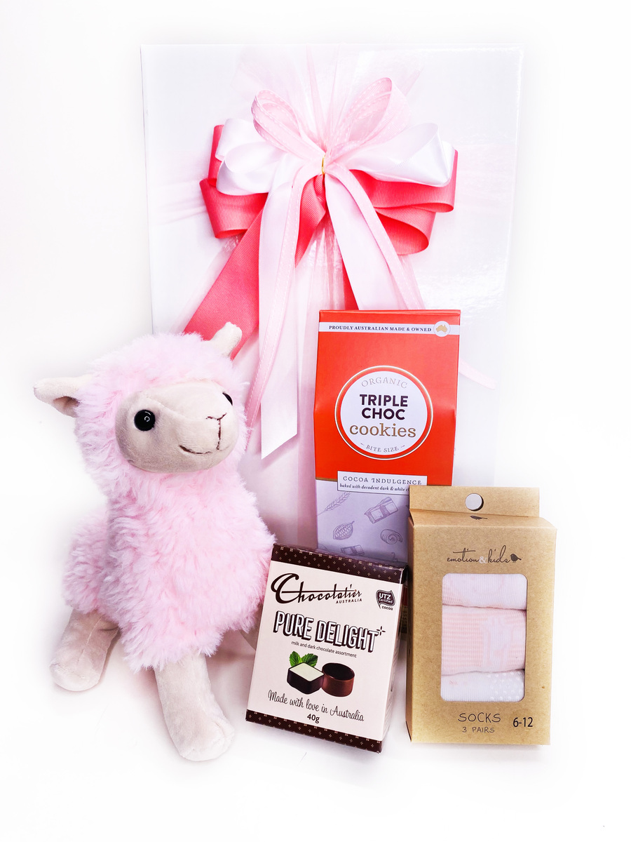 Baby Girl Gifts | Baby Gift Hampers | Brizzie Baskets and Blooms product photo