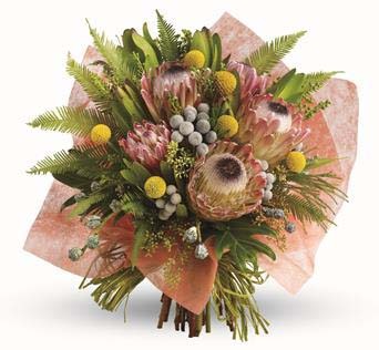 Katandra Australian Native |Fresh Native Flowers | Delivered product photo