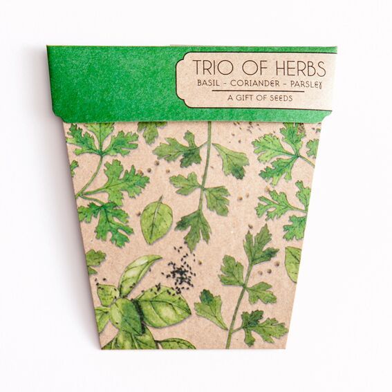 Sownsow Seeds - Trio of Herbs | Brizzie Baskets and Blooms product photo