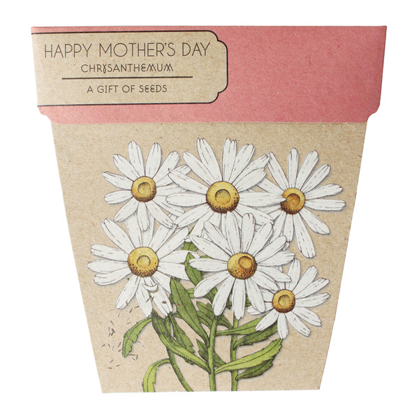 Sownsow Seeds- Happy Mother's Day Chrysanthemums | Brizzie Baskets product photo