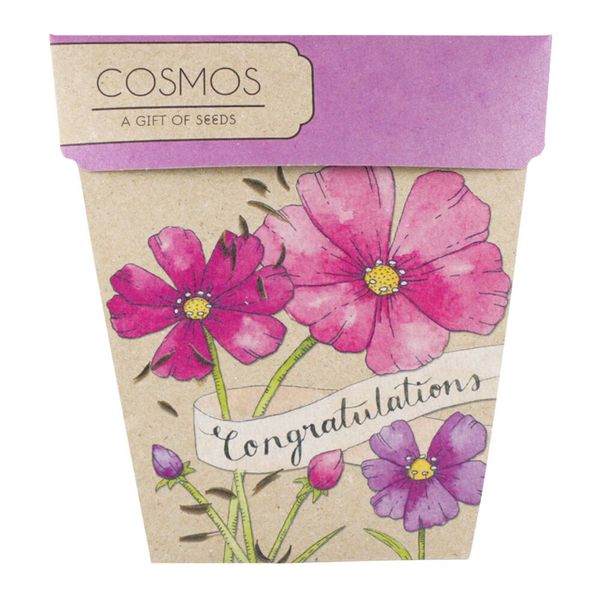SownSow Seeds - Congratulations Cosmos | Brizzie Baskets and Blooms product photo