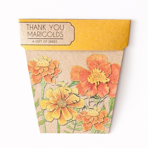 Add a Gift of Seeds - Thank You Marigolds | Brizzie Baskets and Blooms product photo