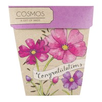 SownSow Seeds - Congratulations Cosmos