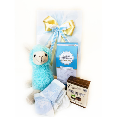 Baby Blue Llama Gift Hamper