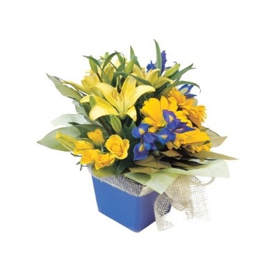 Spring Fling Boxed Arrangement