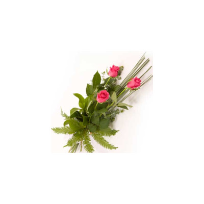 Perfect Roses