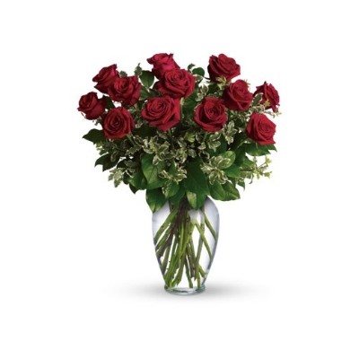 A Dozen Red Roses in a vase