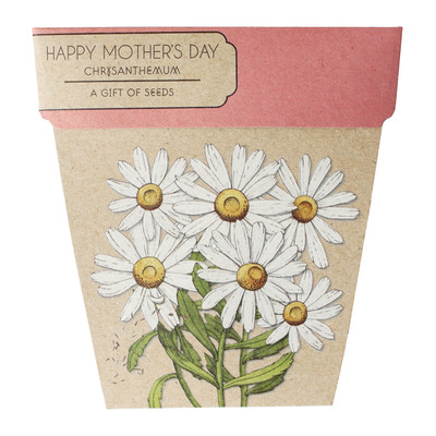 Sownsow Seeds- Happy Mother's Day Chrysanthemums